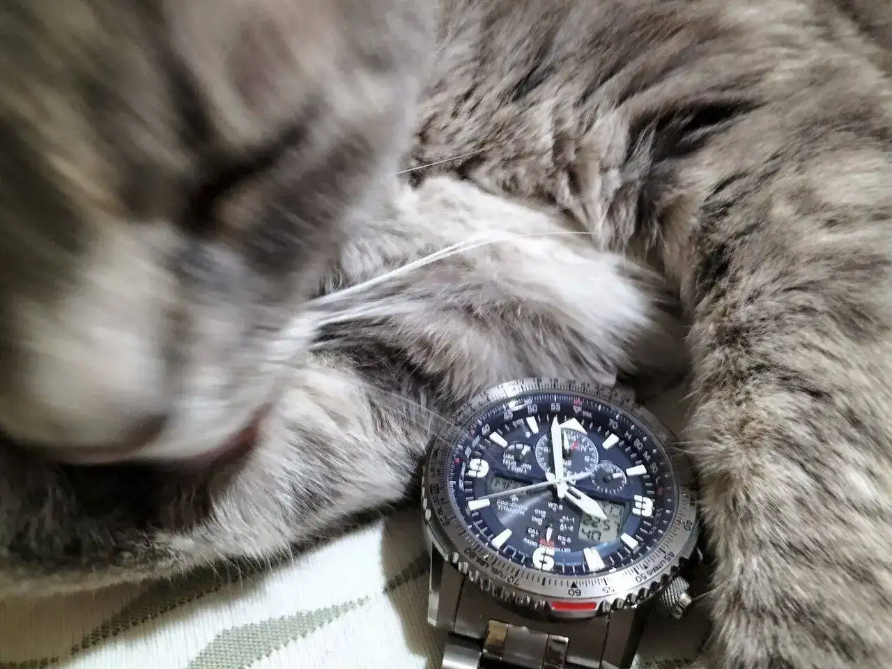 IMG_20220612_171320.webp