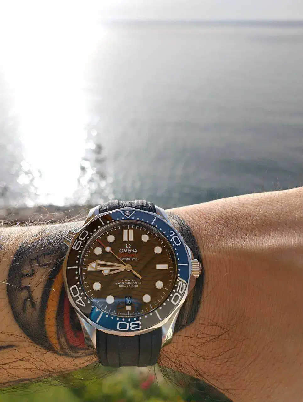 IMG_20220616_084546.webp
