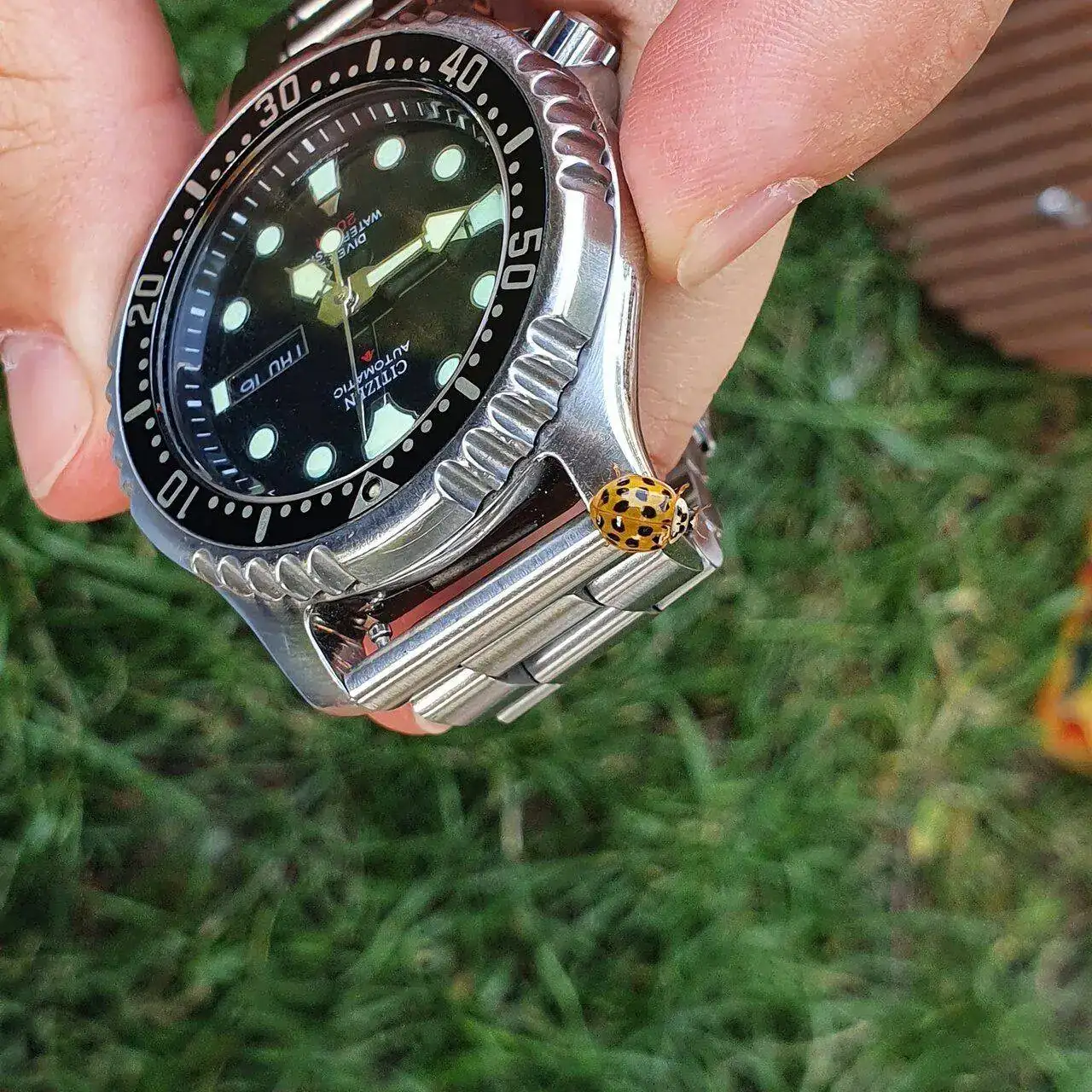 IMG_20220616_181627_171.webp