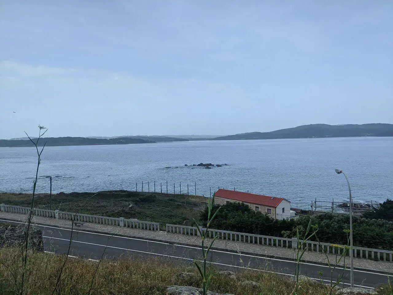 IMG_20220616_191335.jpg