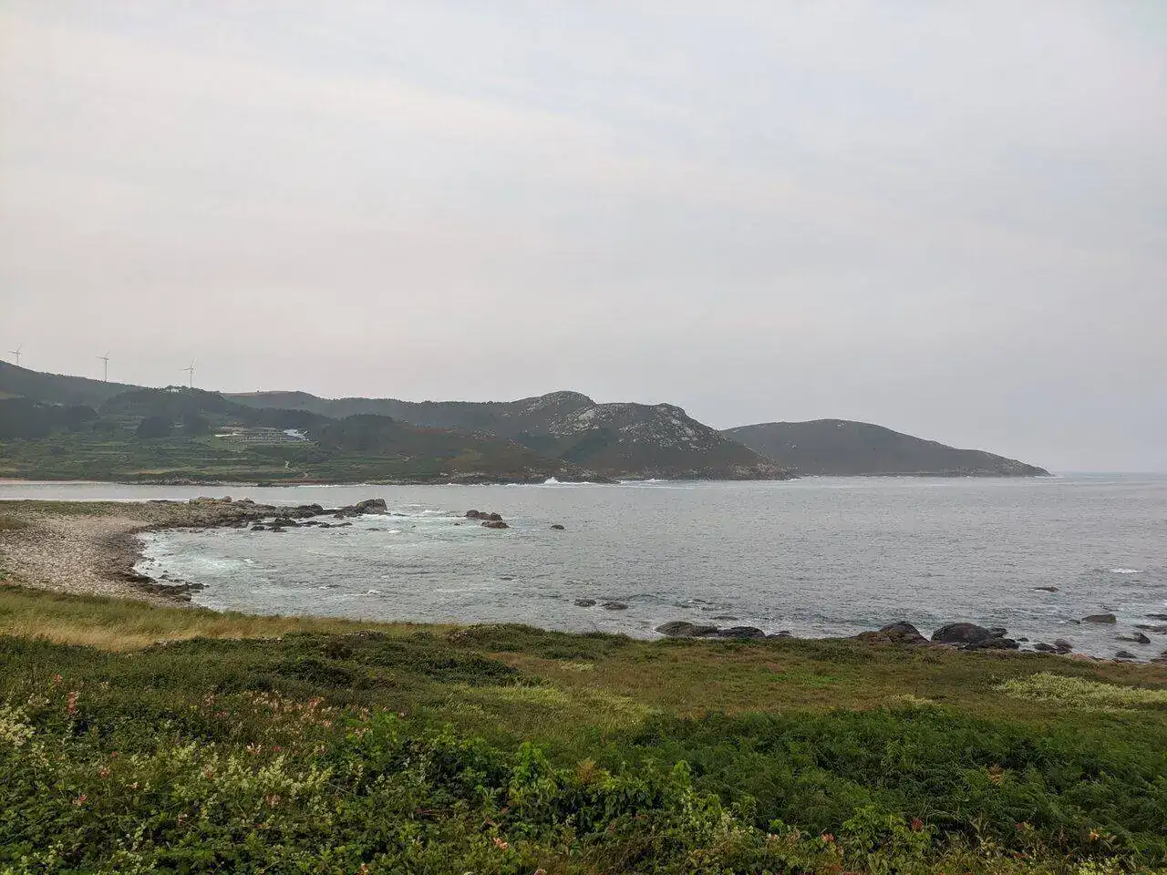 IMG_20220617_074916.jpg