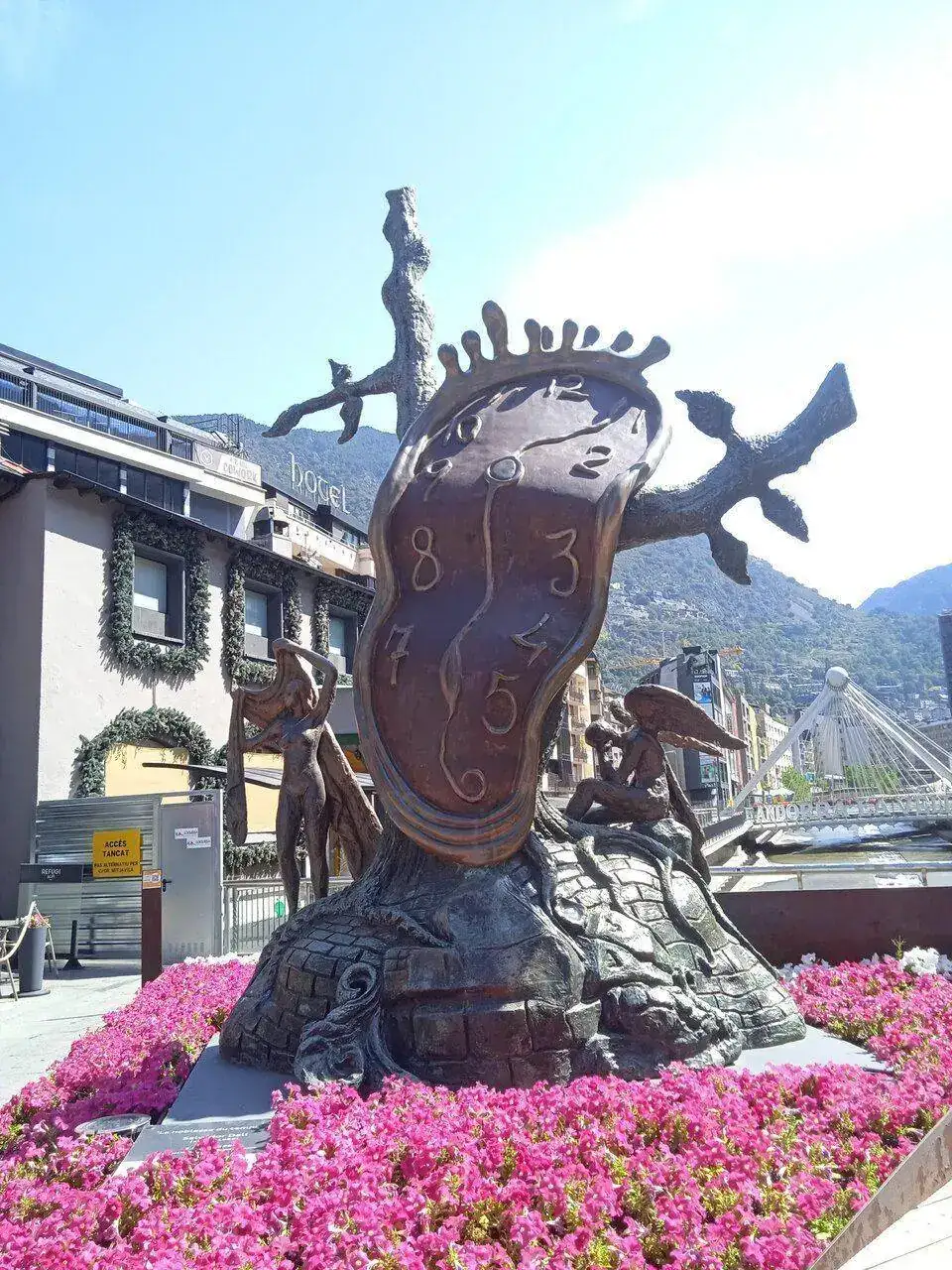 IMG_20220723_113215.webp