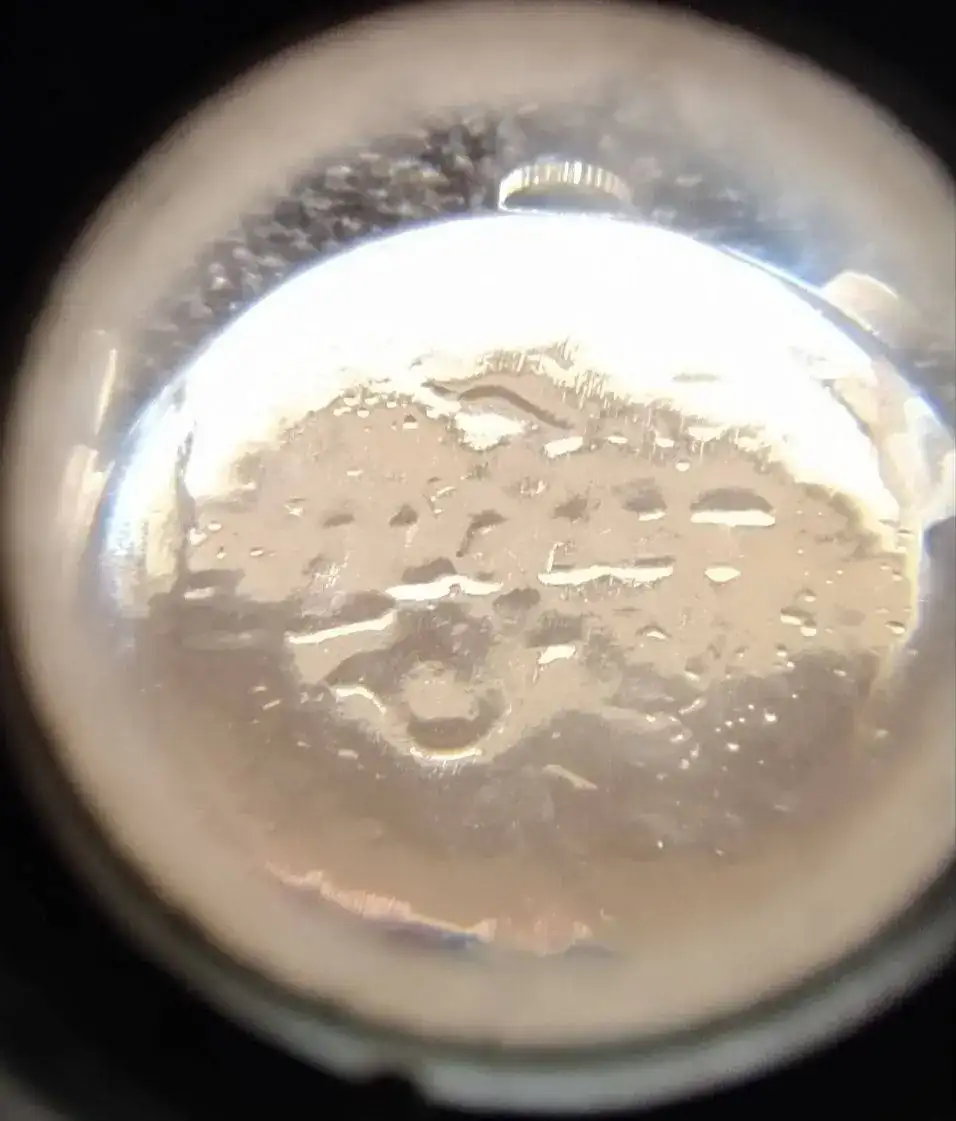 IMG_20220903_141032.jpg
