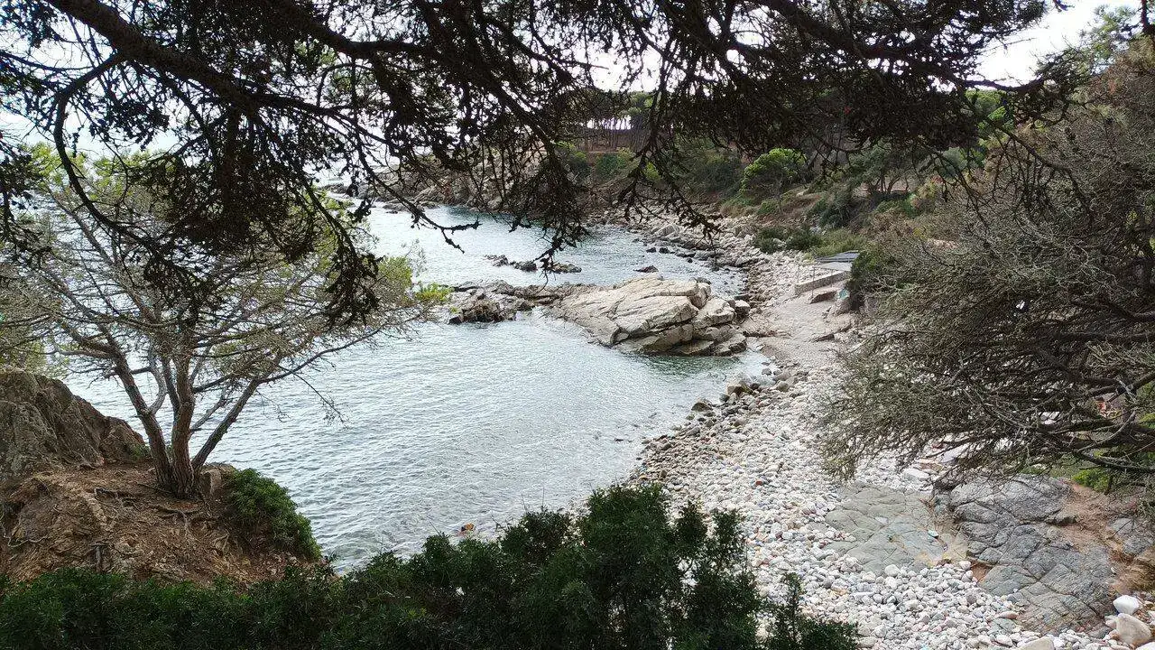 IMG_20220916_171425.webp