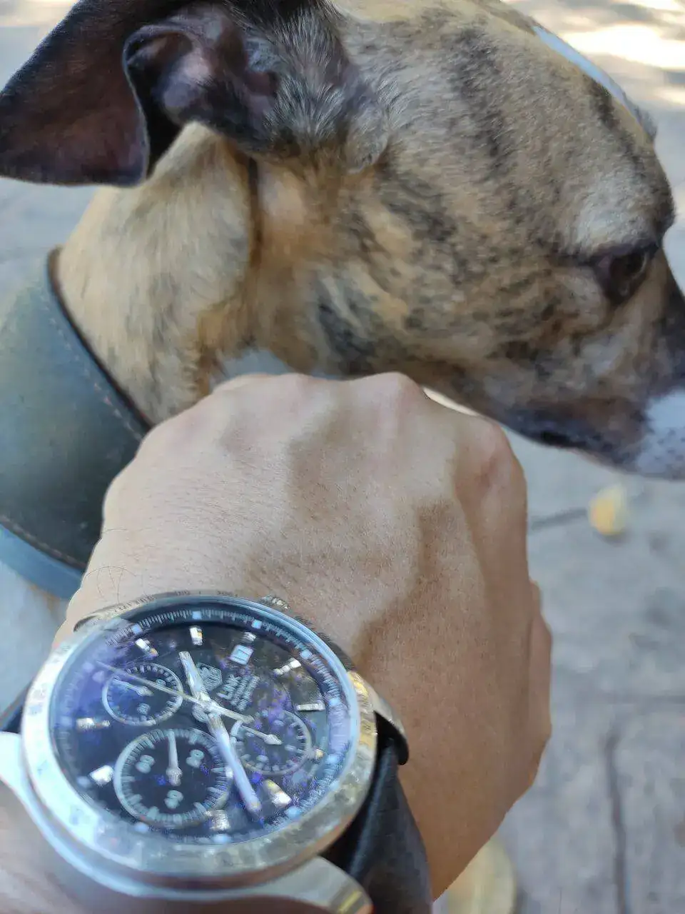 IMG_20220917_133825.webp