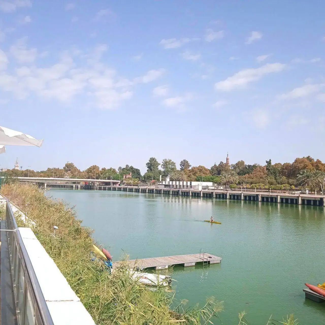 IMG_20221008_134427_1.webp