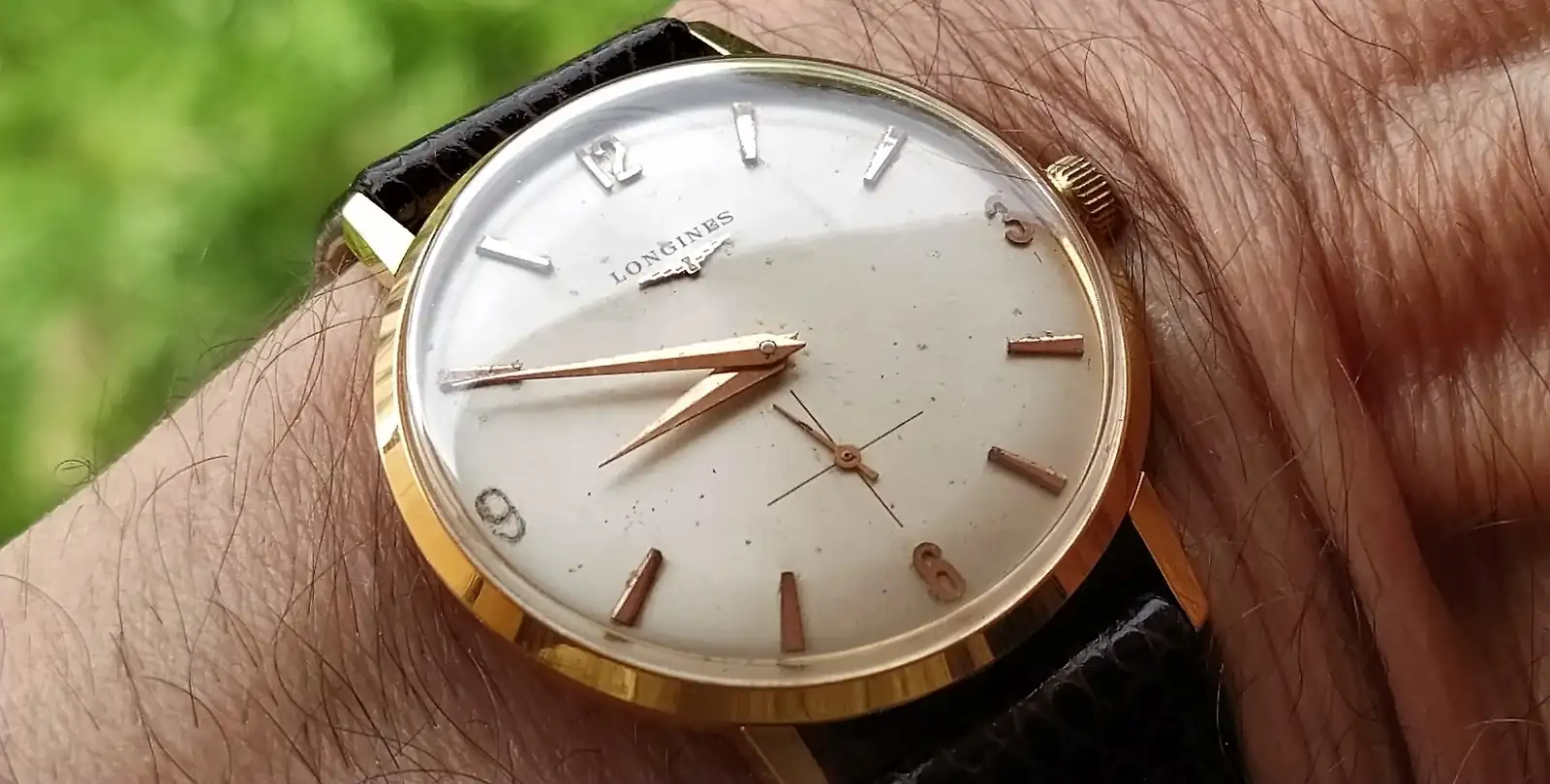 IMG_20221019_112318 (3).webp