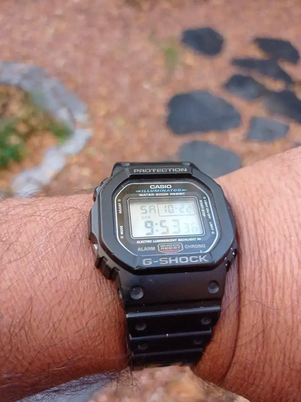 IMG_20221022_095109.webp