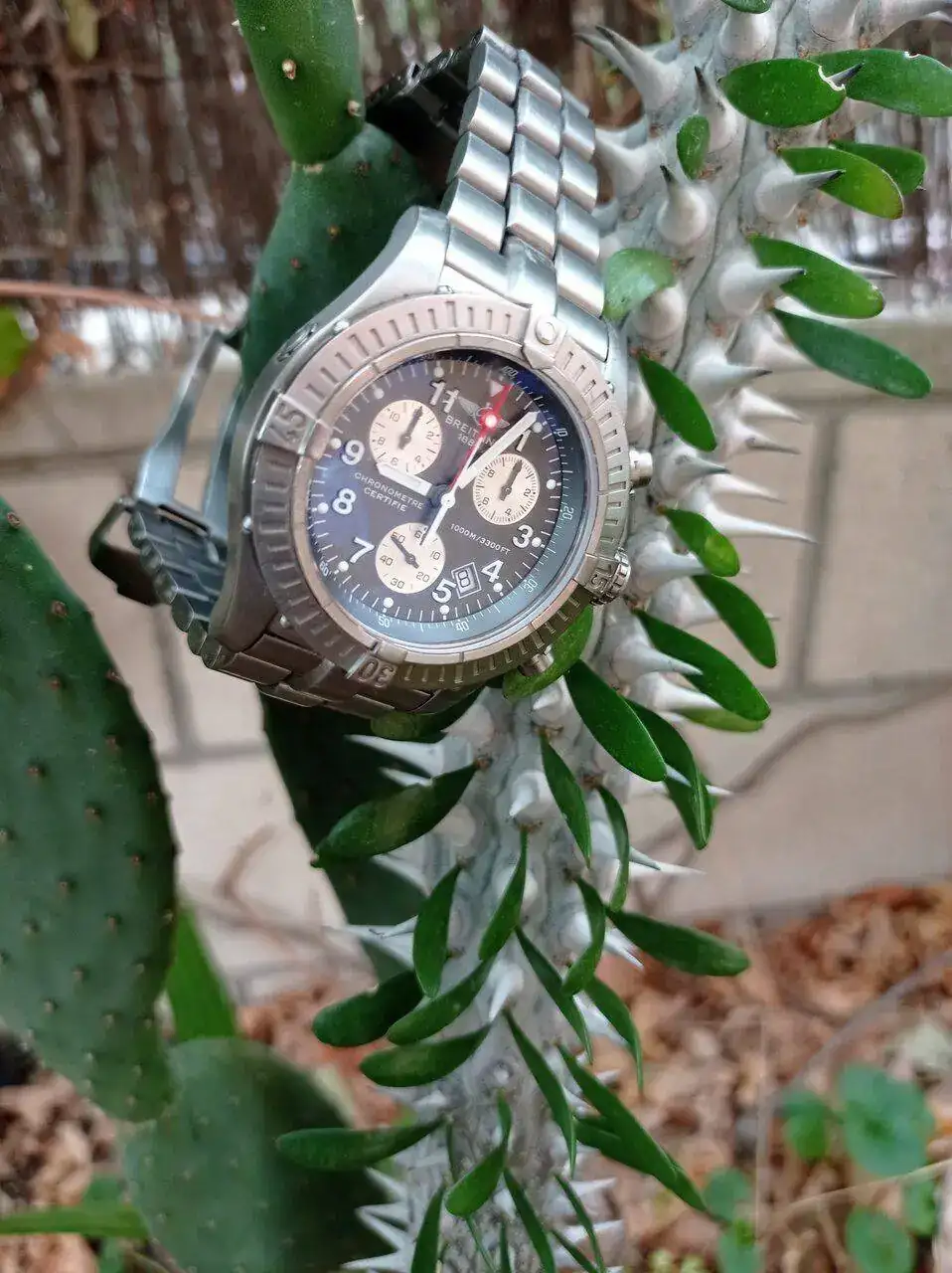 IMG_20221108_090444.webp