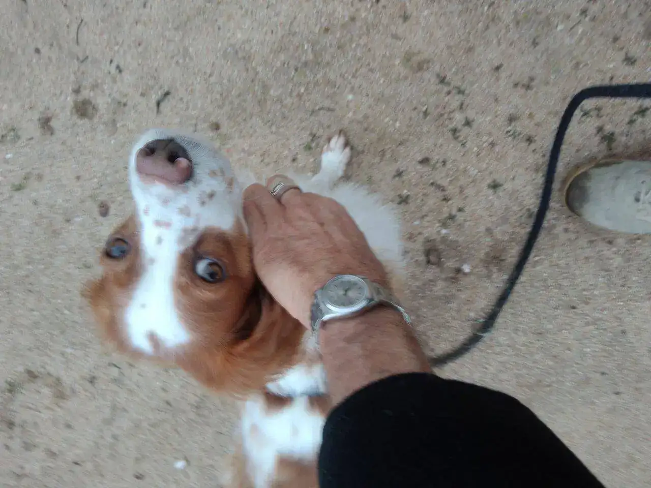 IMG_20230107_162435.webp