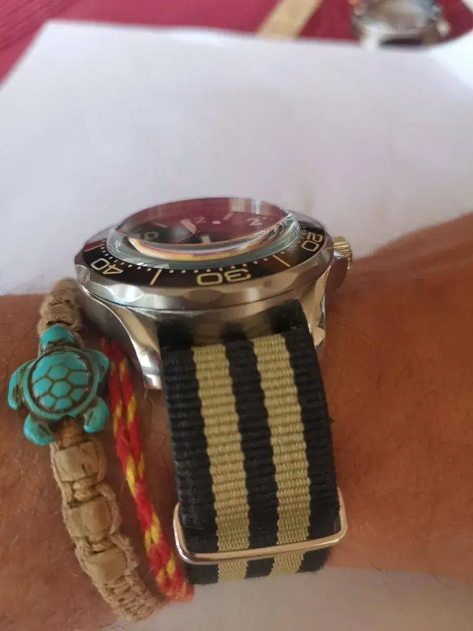 IMG_20230328_112847.webp