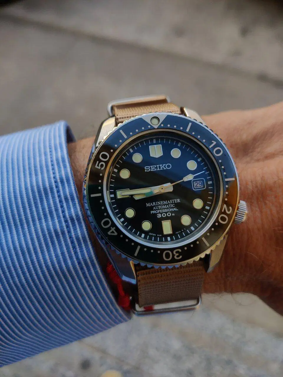 IMG_20230329_084640.webp