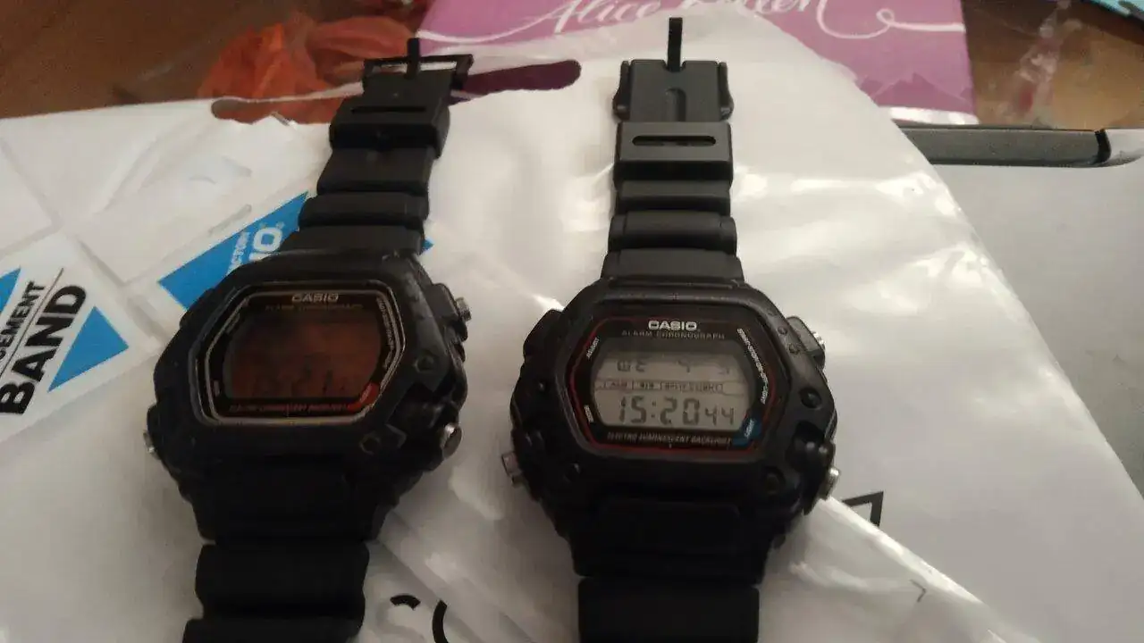 IMG_20230405_152052.webp