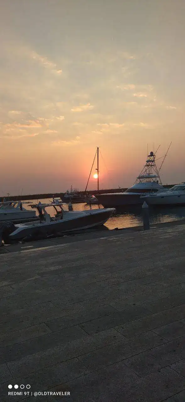 IMG_20230406_062700.webp