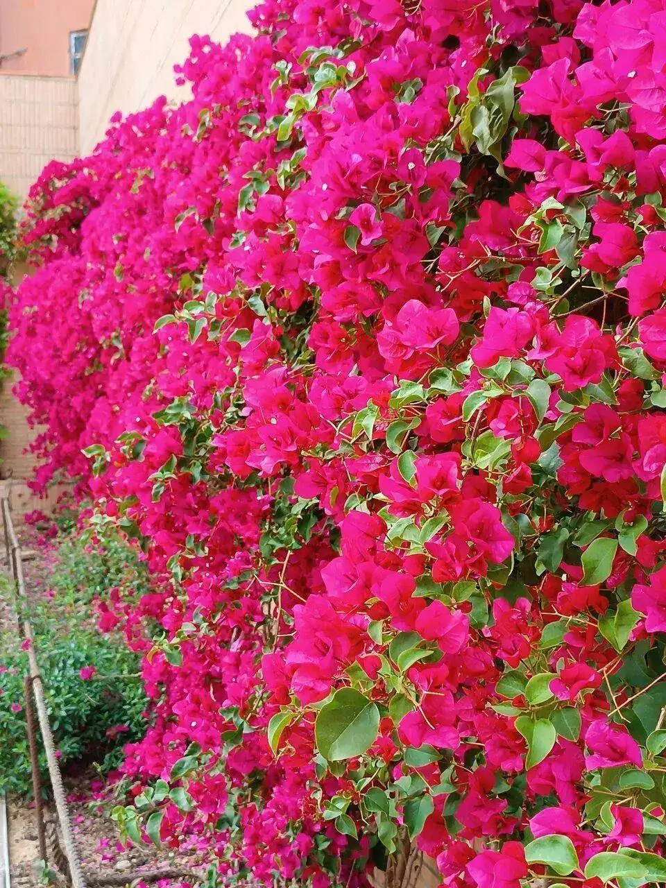 IMG_20230502_132043.webp