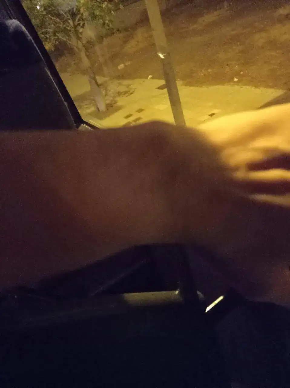 IMG_20230604_055339.webp