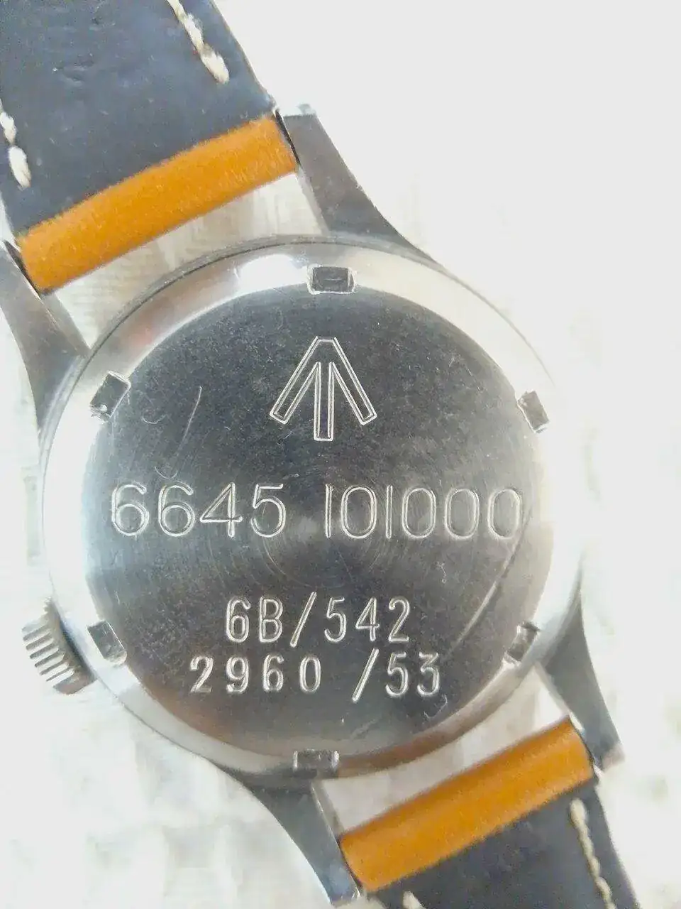 IMG_20230623_132726.webp