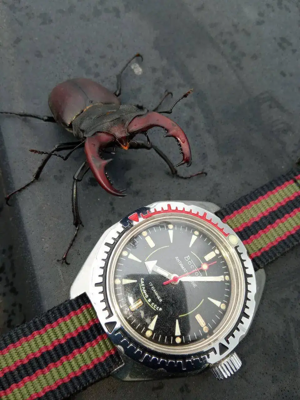 IMG_20230626_080458.webp