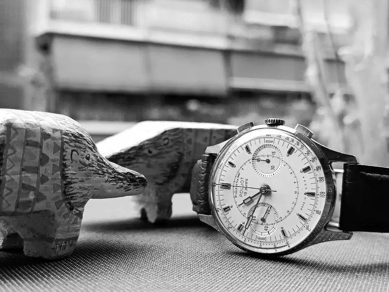 IMG_20230806_112311.webp