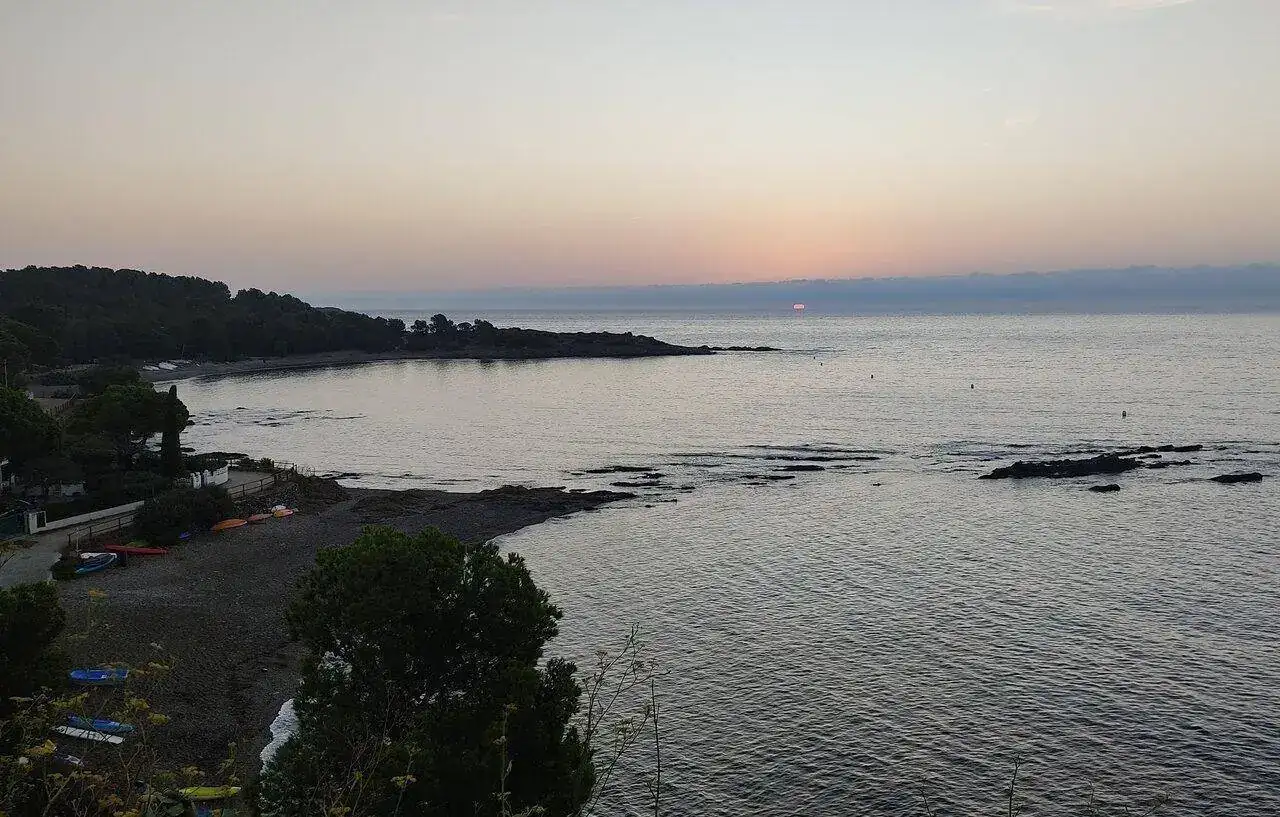 IMG_20230818_065944.webp