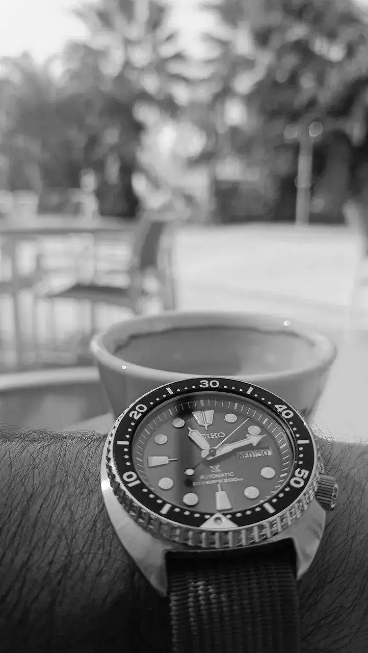 IMG_20230831_103310.webp