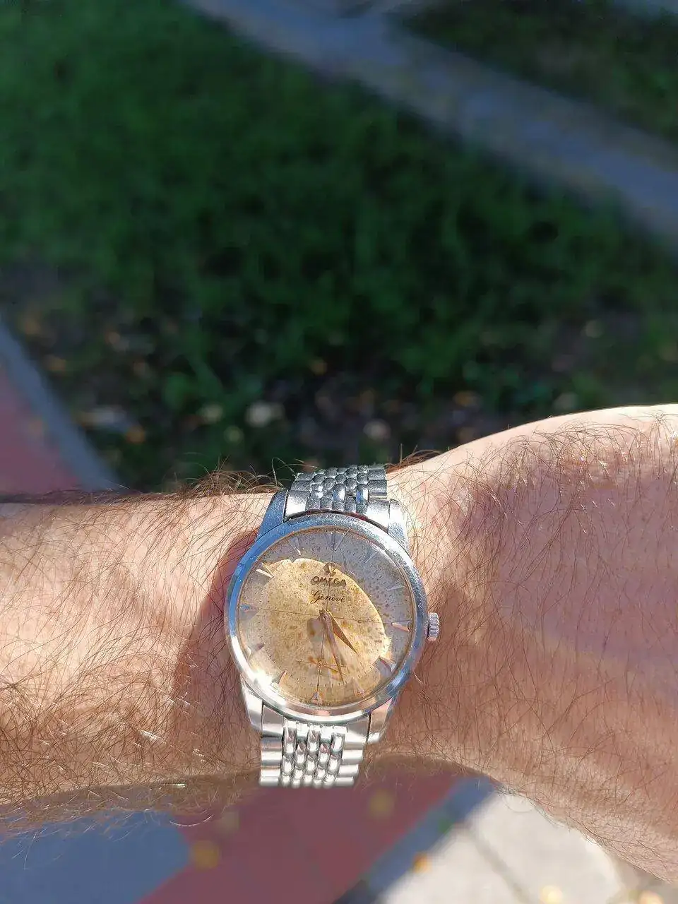 IMG_20231002_162650.webp