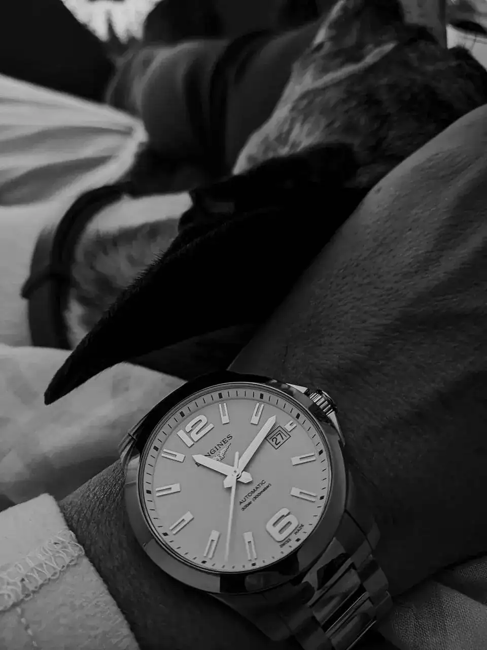 IMG_20231127_233320.webp