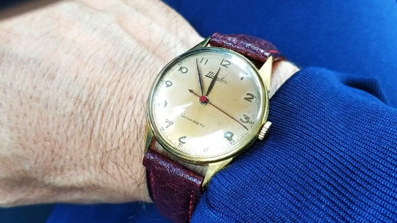 IMG_20231207_115415.jpg