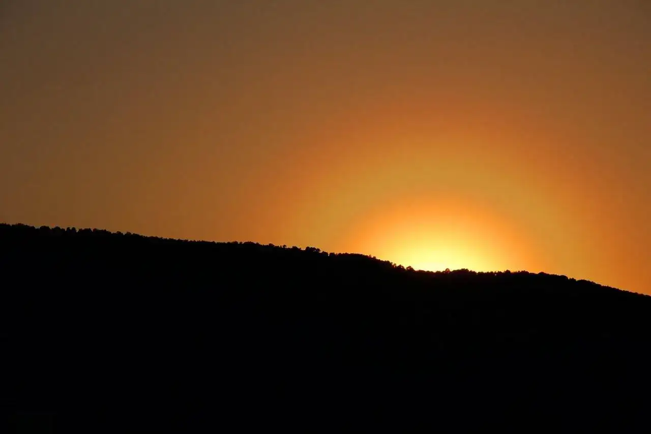 IMG_20231220_072149_404.webp