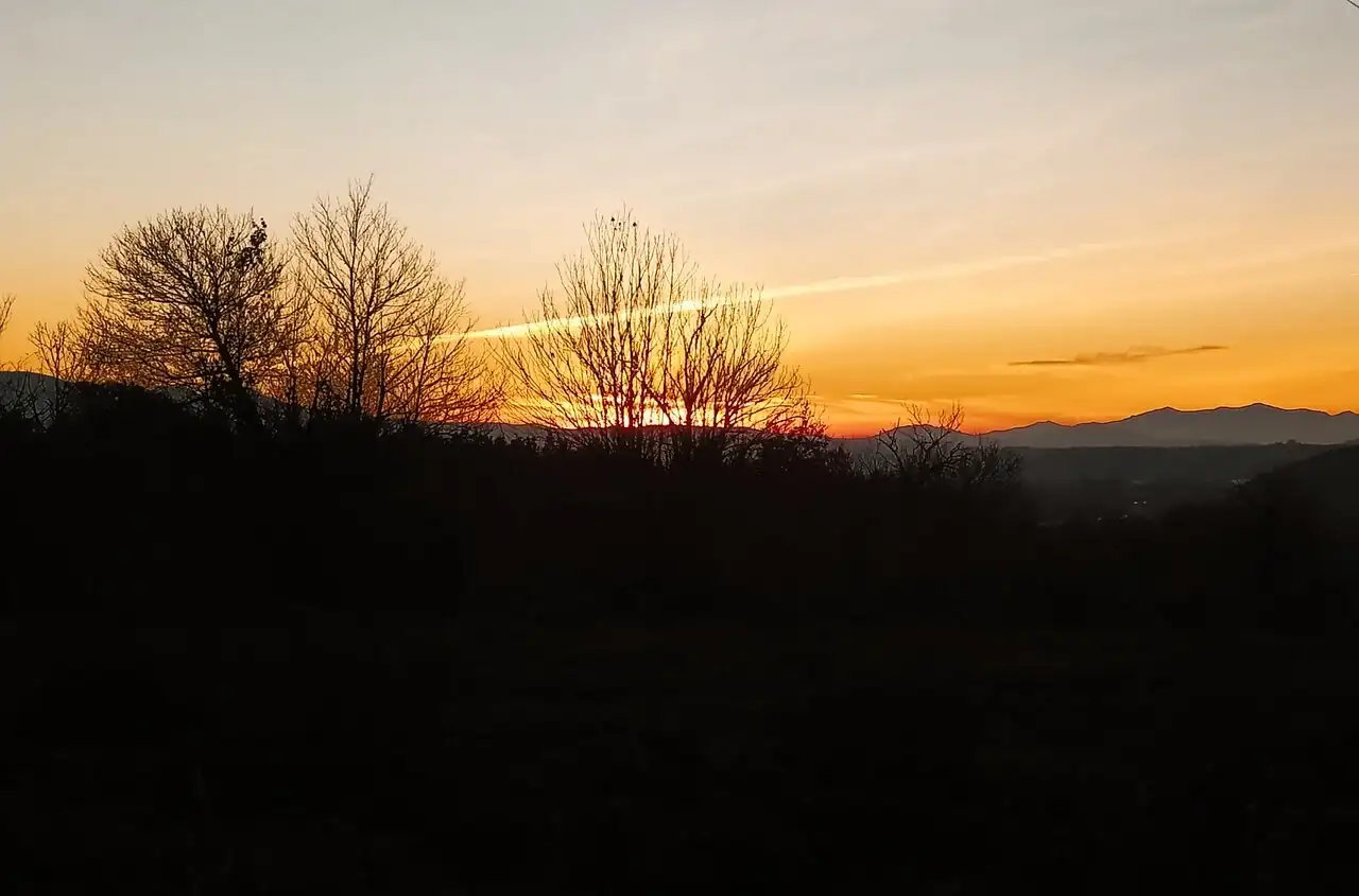 IMG_20231226_183744.webp