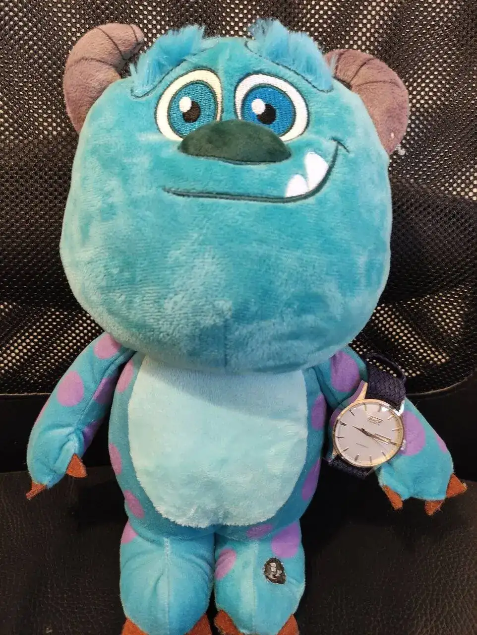 IMG_20240117_091515.webp