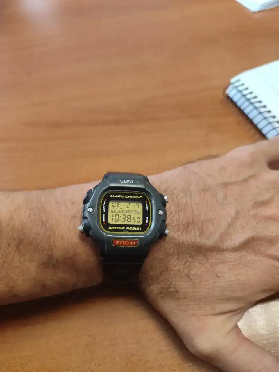 IMG_20240214_093844.webp