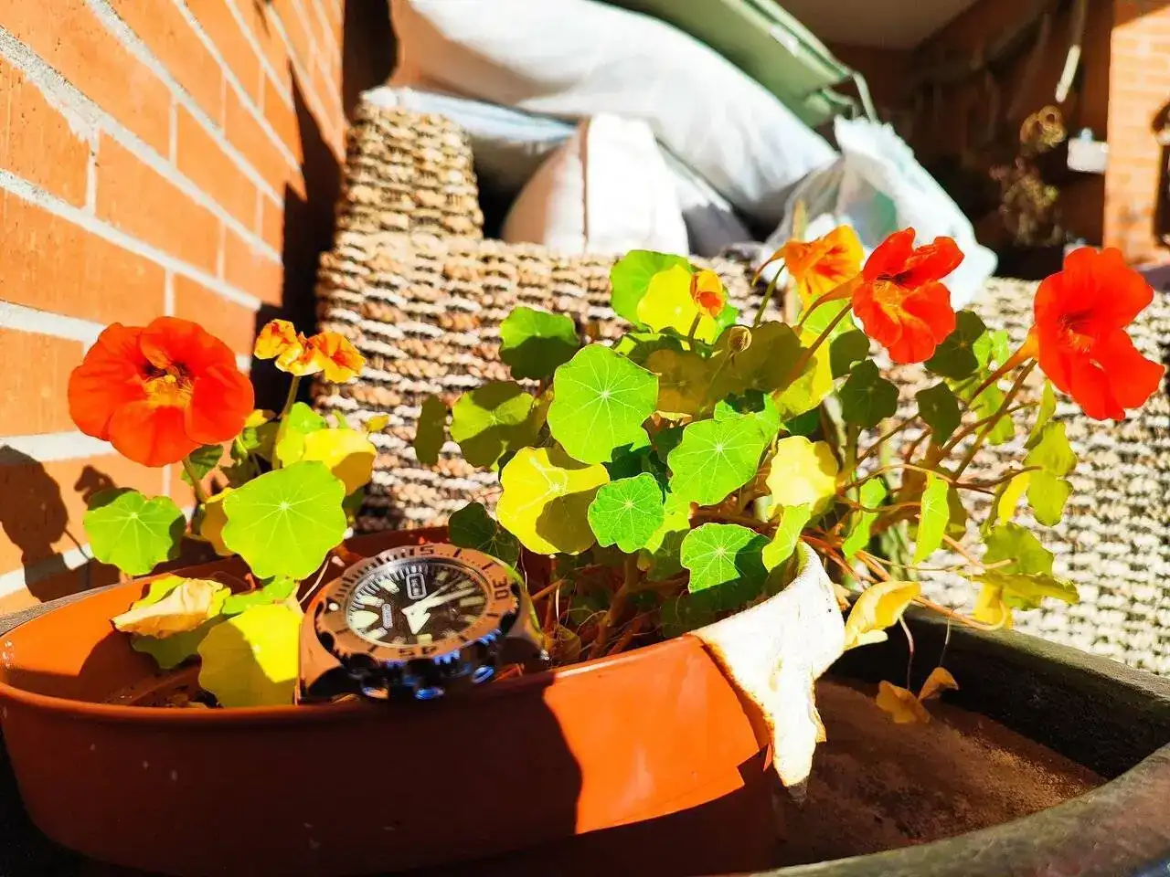 IMG_20240226_092740.webp