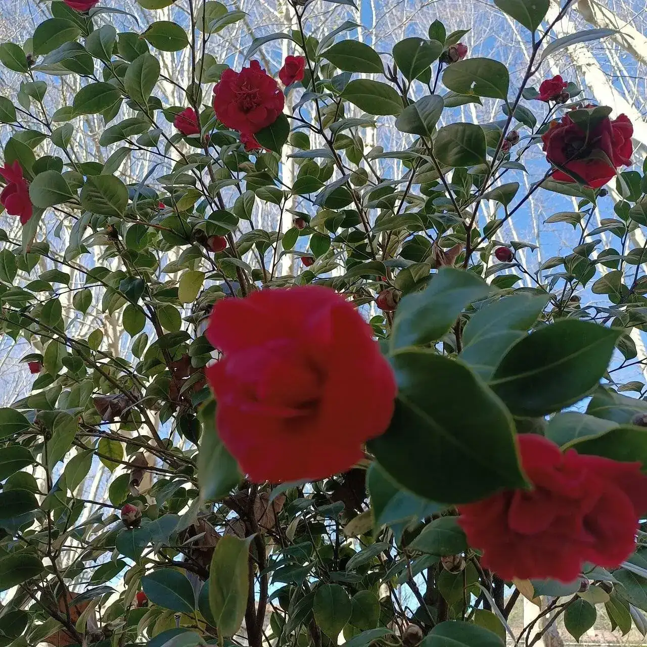 IMG_20240328_095309.webp