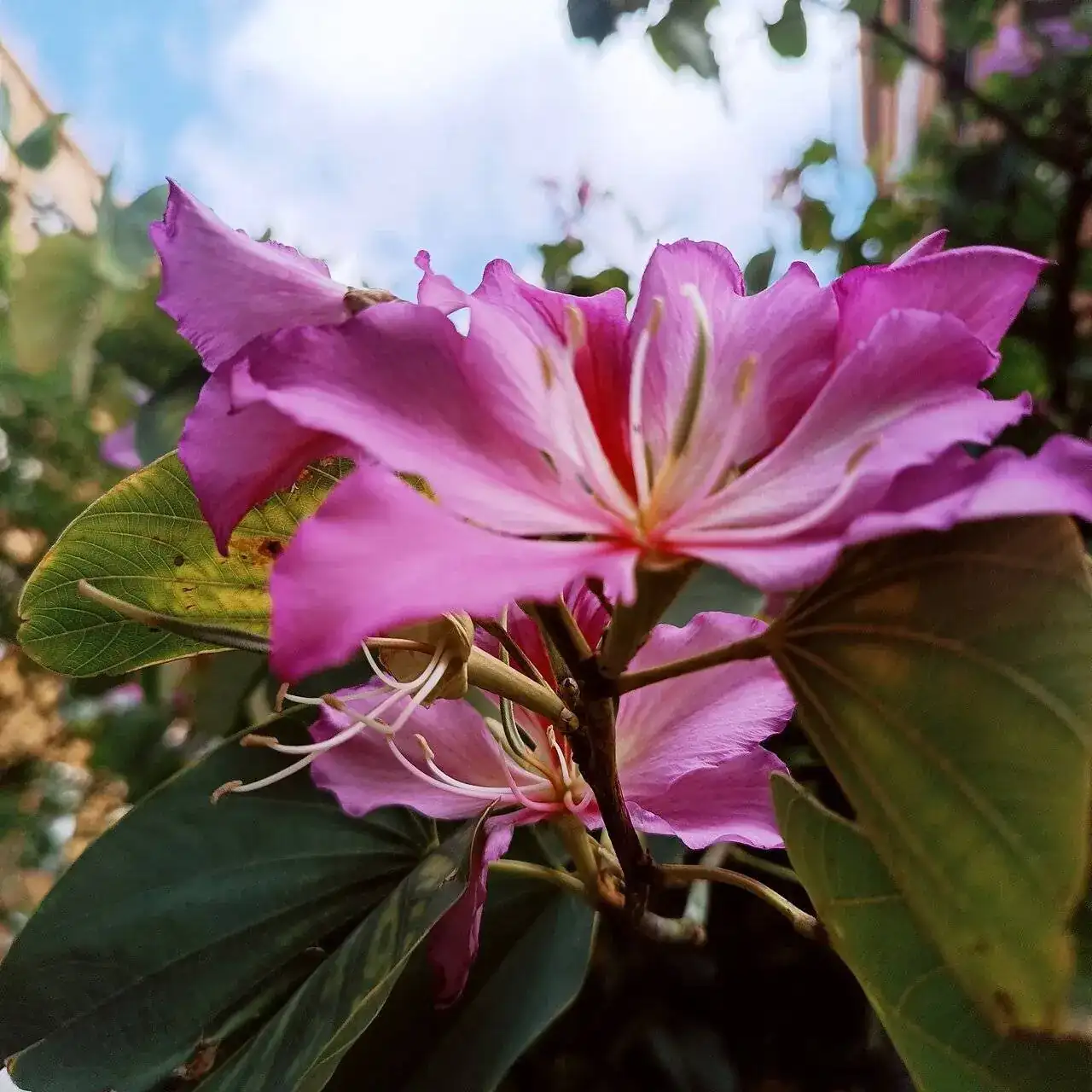 IMG_20240609_190456.webp