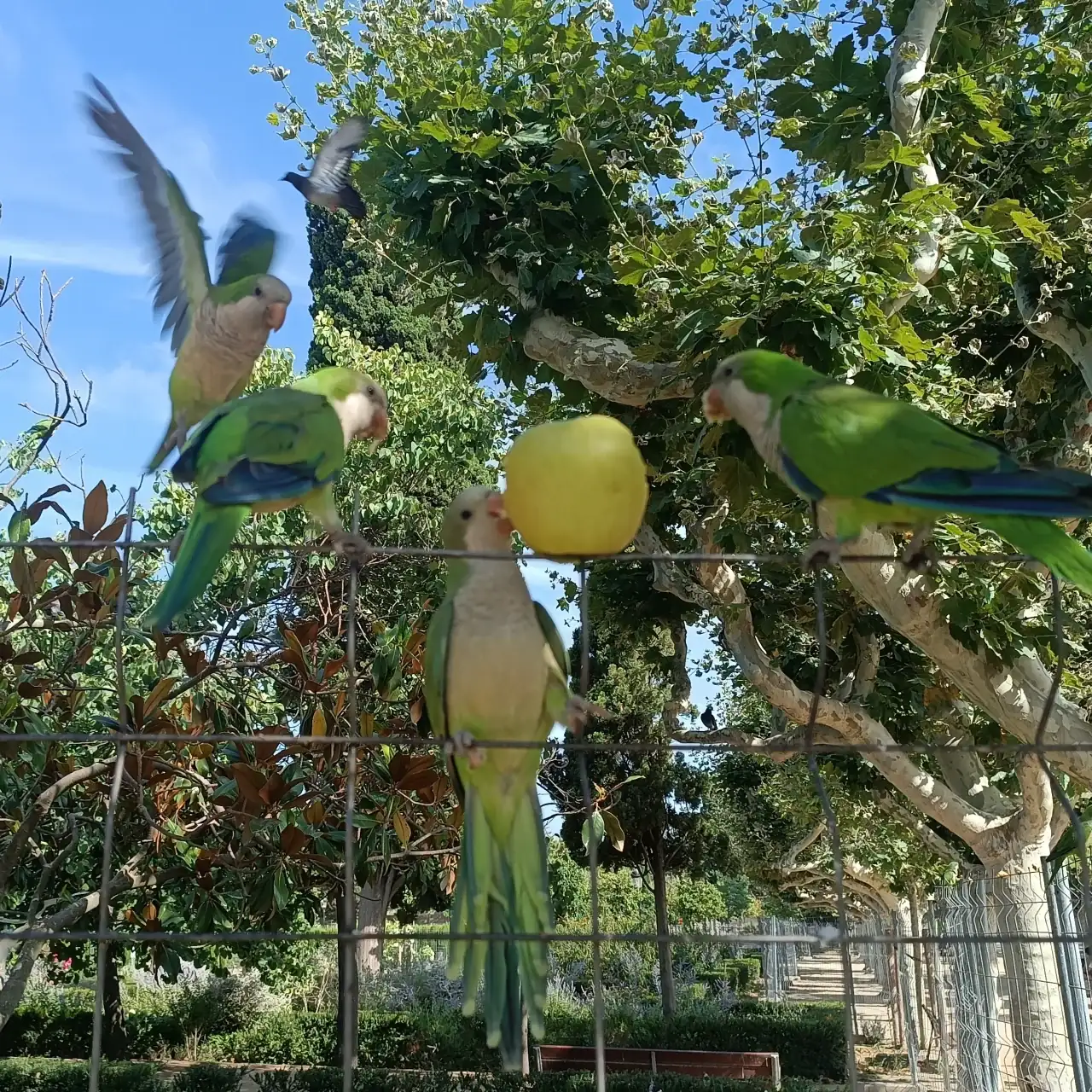 IMG_20240714_174025.webp