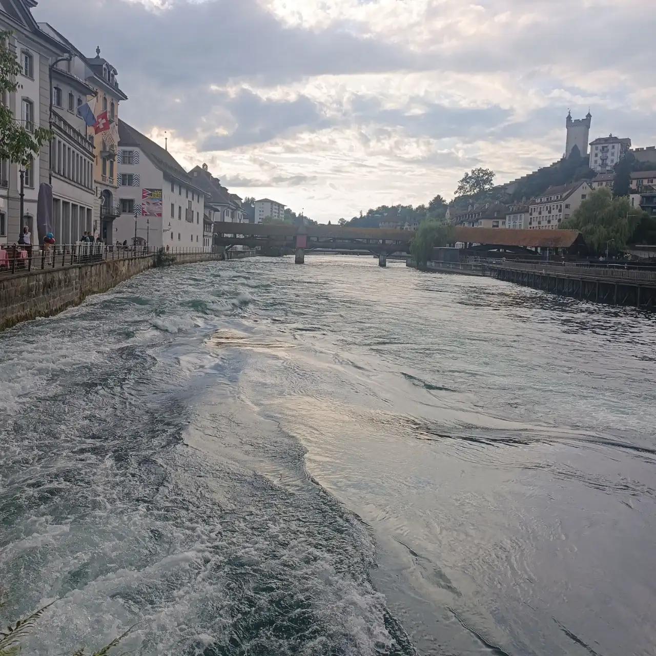 IMG_20240724_071437.webp