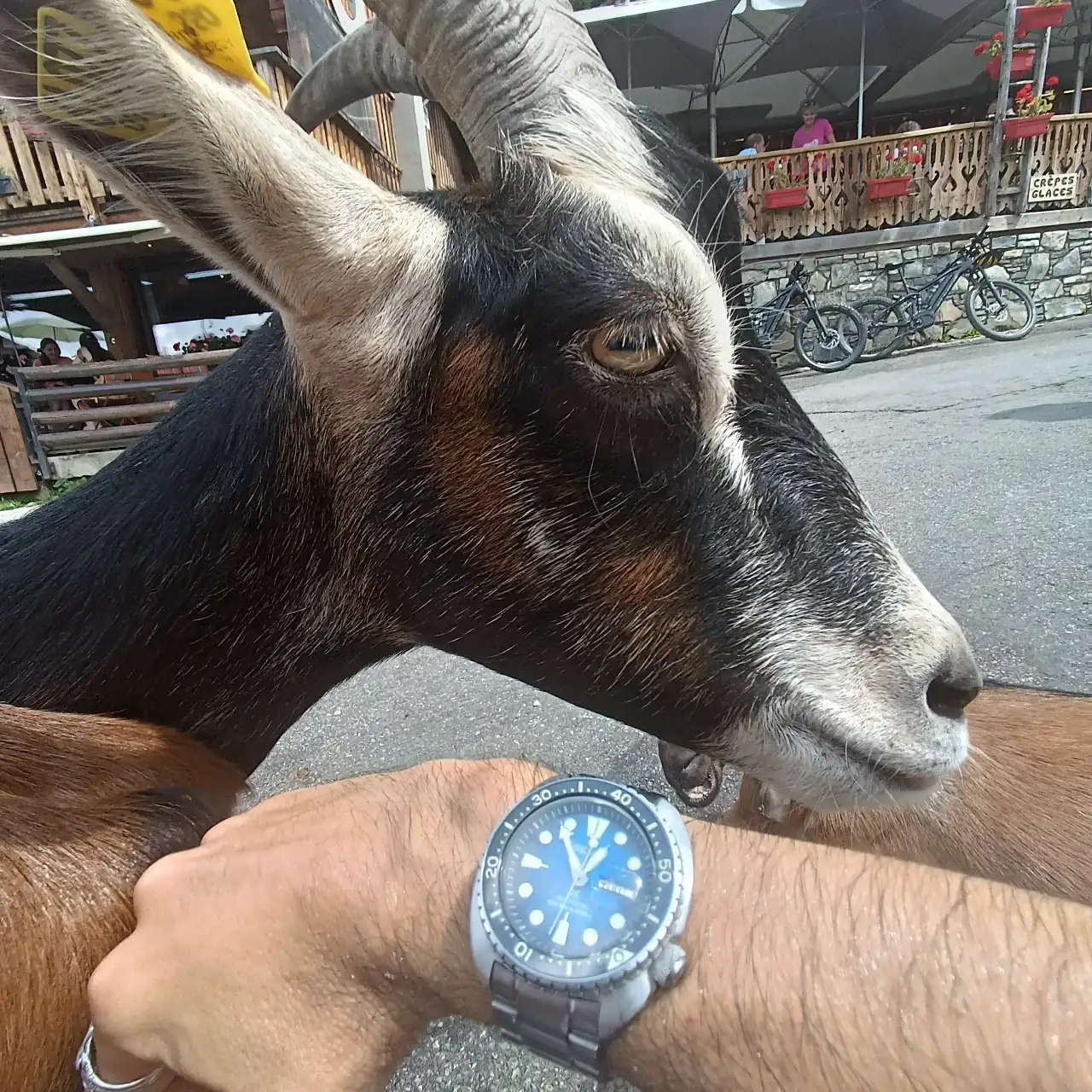IMG_20240801_125429.webp