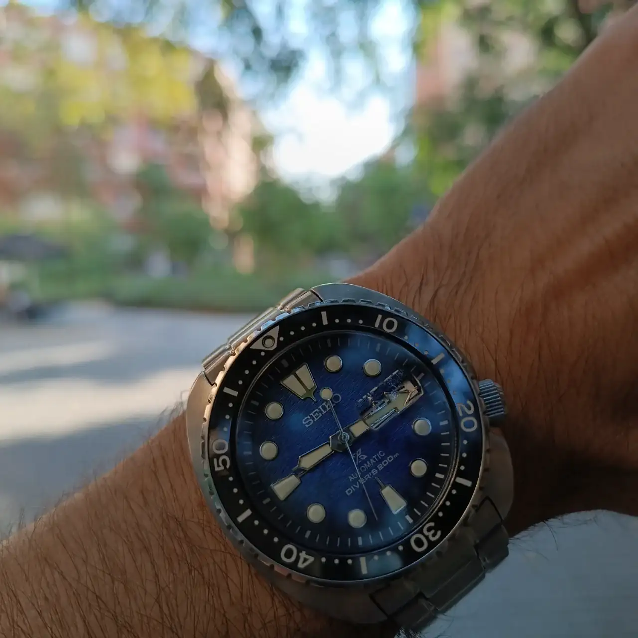 IMG_20240806_091808.webp