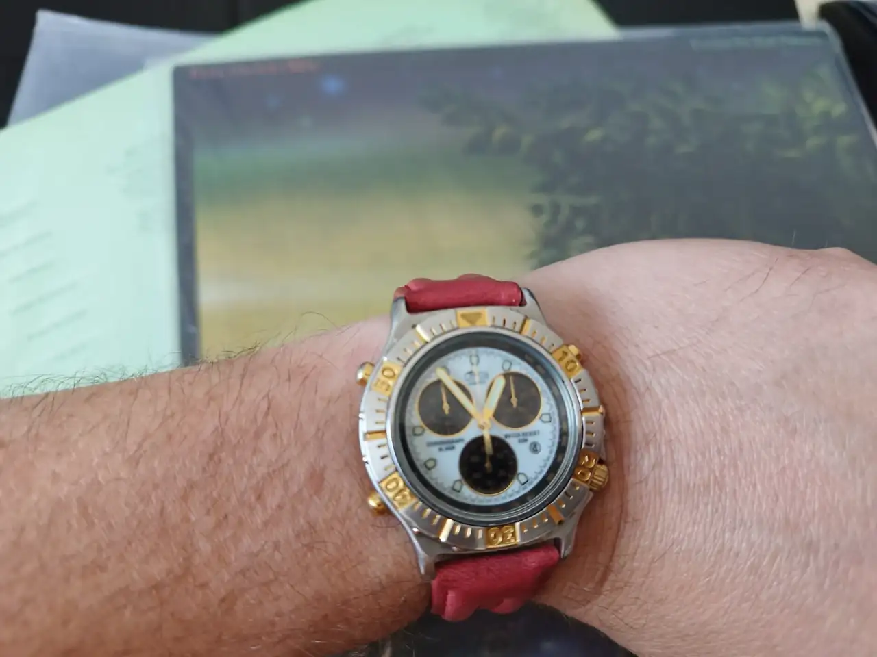 IMG_20240810_125332.webp