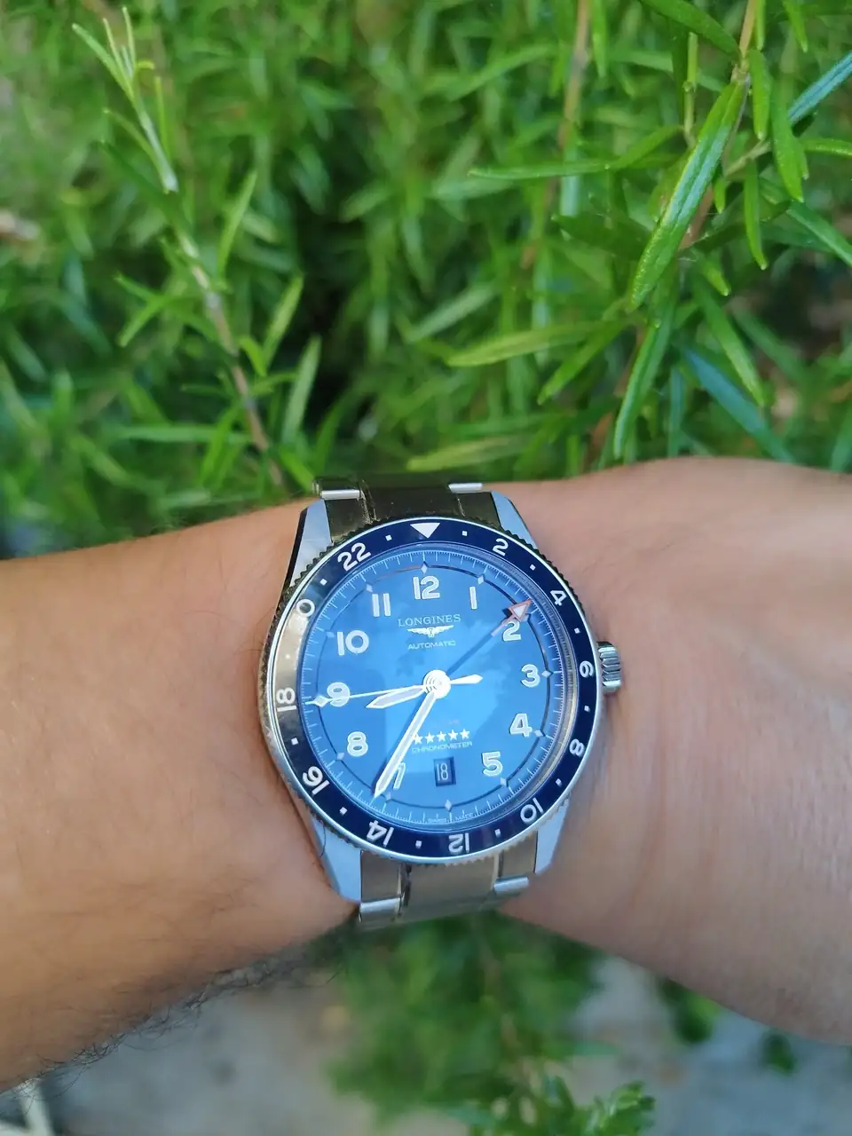 IMG_20240818_083543.webp