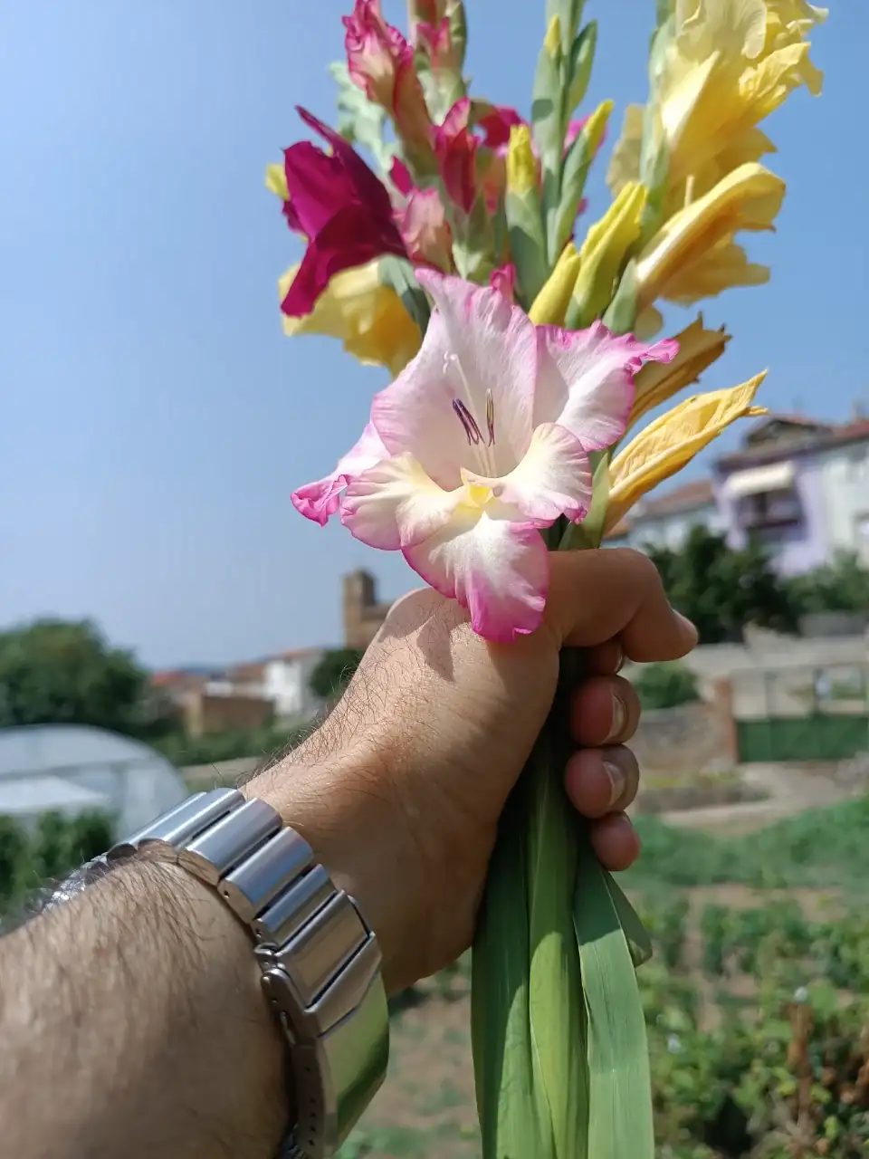 IMG_20240819_135932.webp