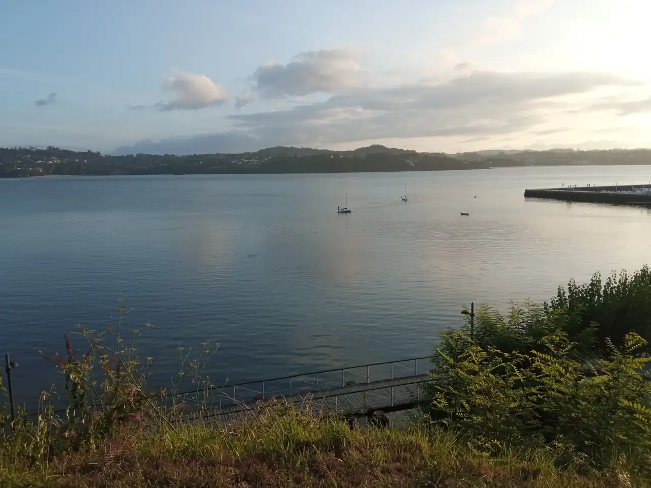 IMG_20240820_204201.webp