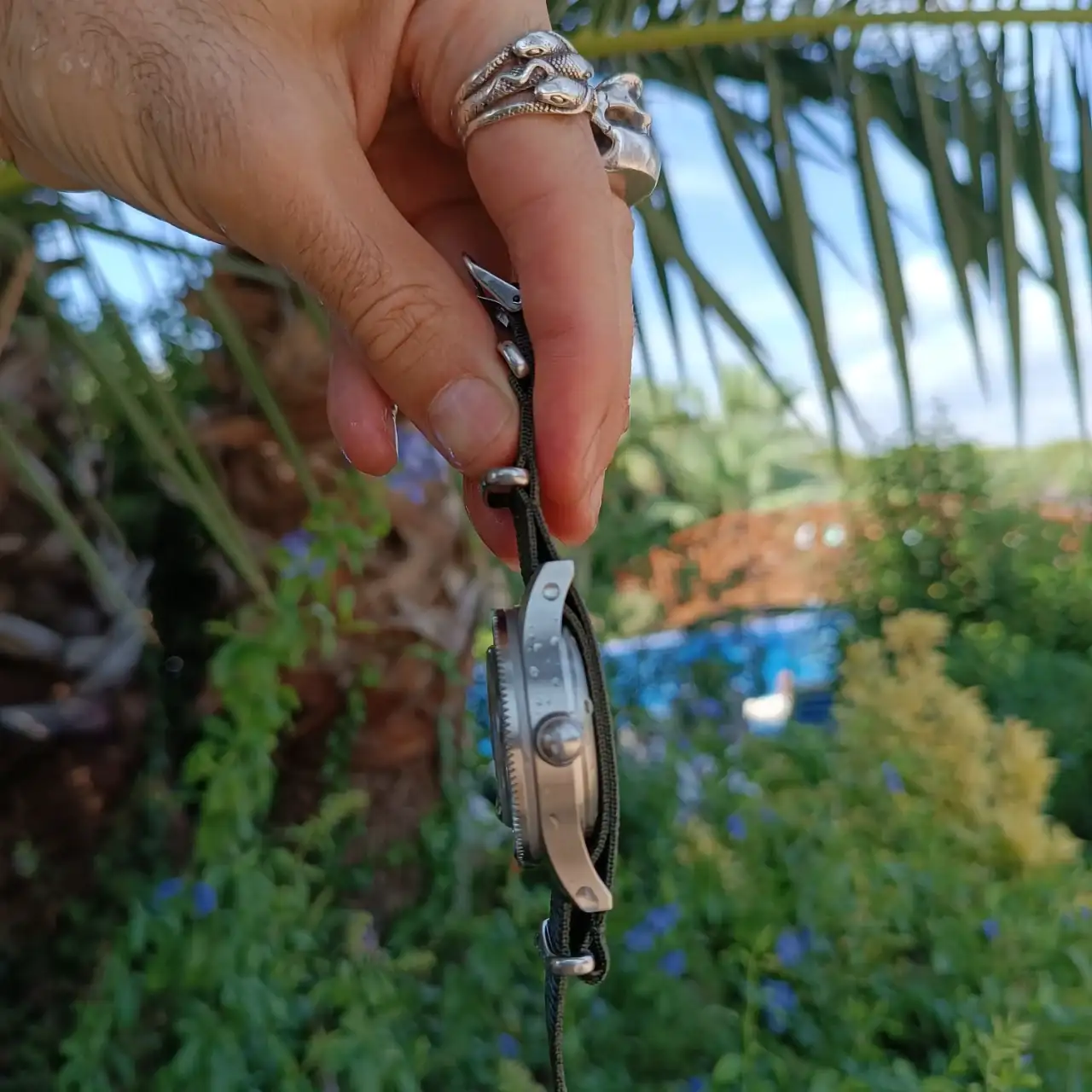 IMG_20240830_114939.webp