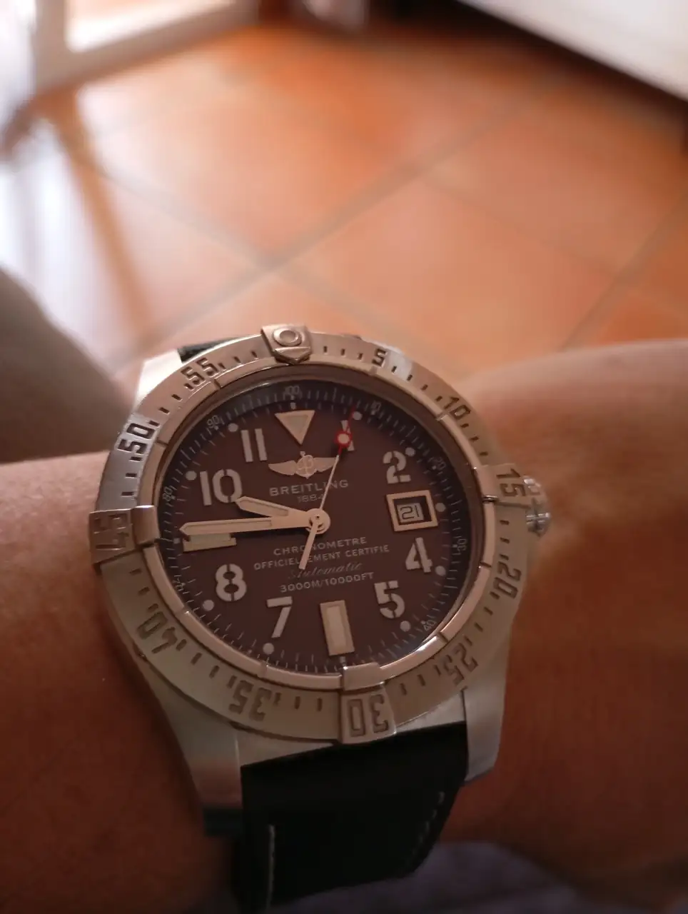 IMG_20240921_094535.webp