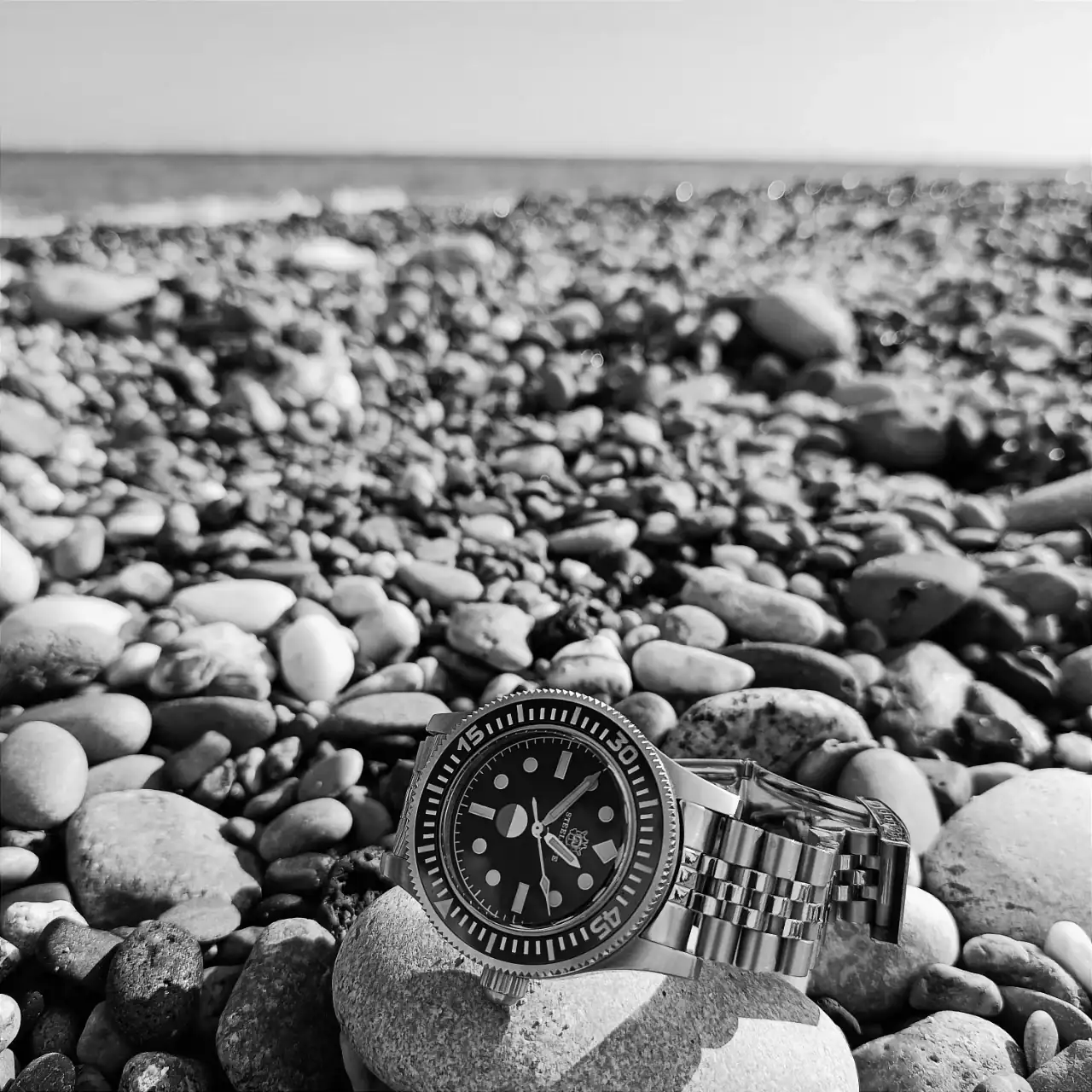 IMG_20241121_074835.webp