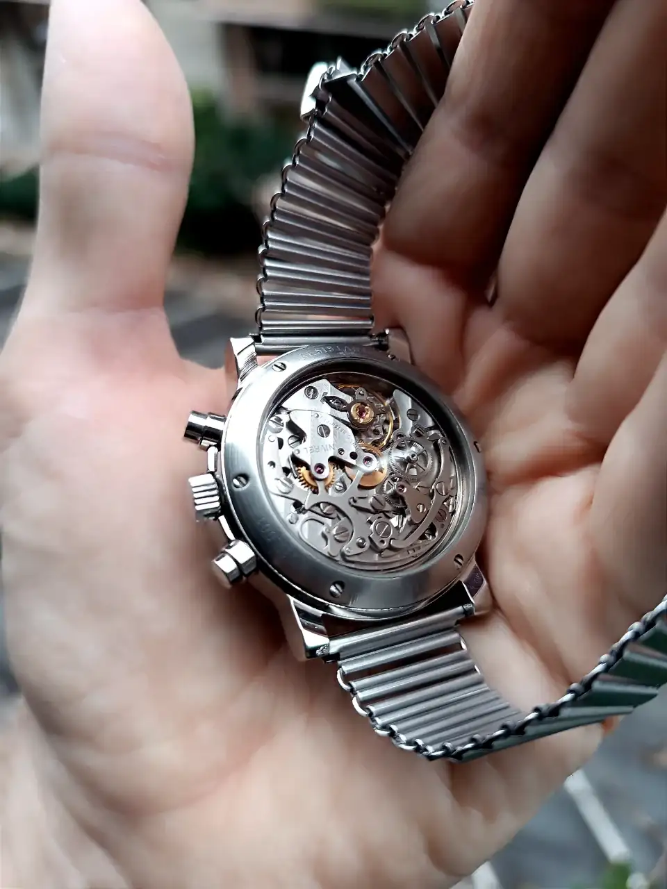 IMG_20241211_095342.webp