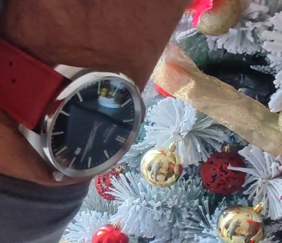 IMG_20241230_145642.webp