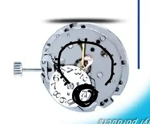 IMG_20250123_055409.webp