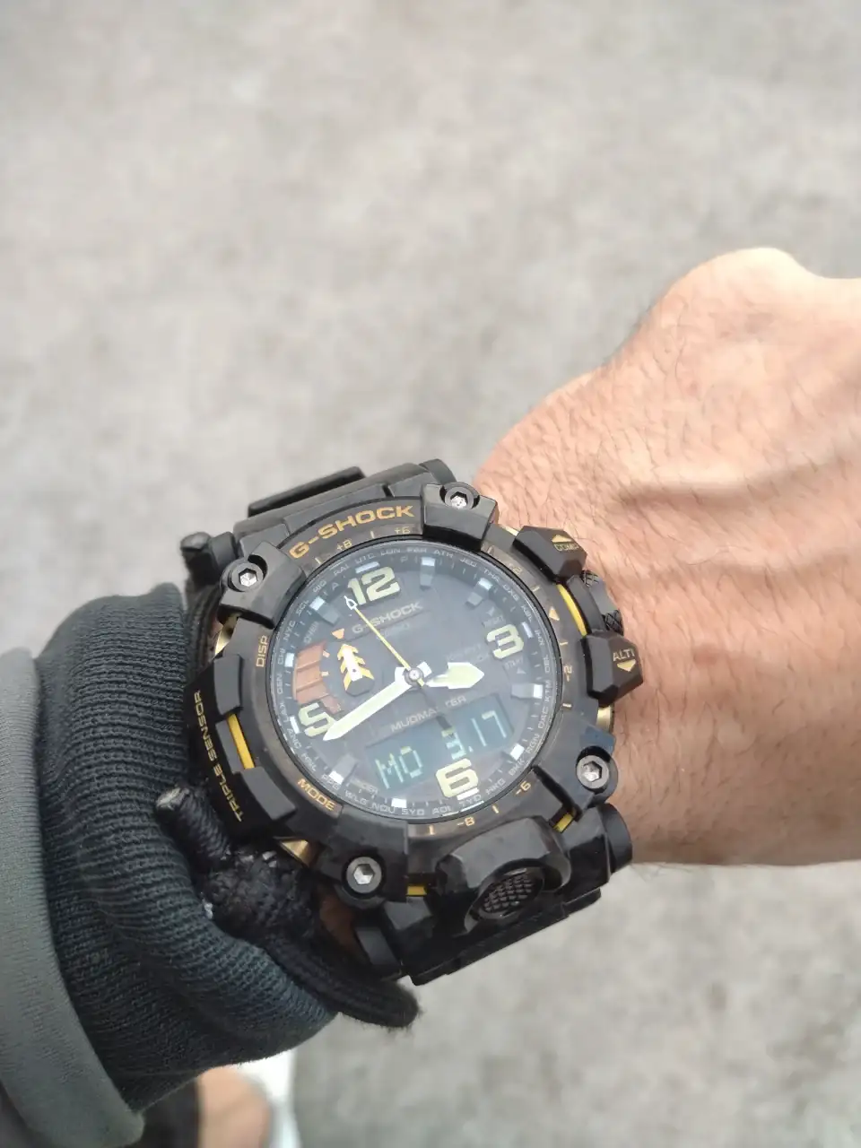 IMG_20250317_154258.webp